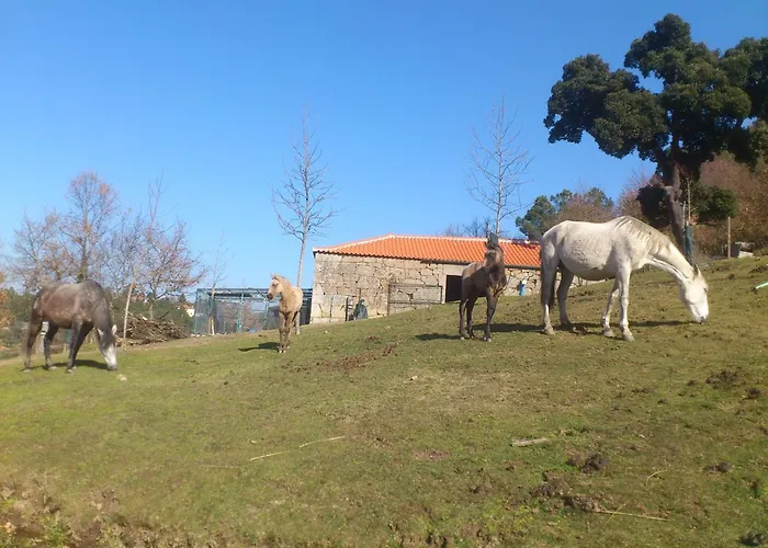 Quinta Da Mata - Turismo De Habitacao