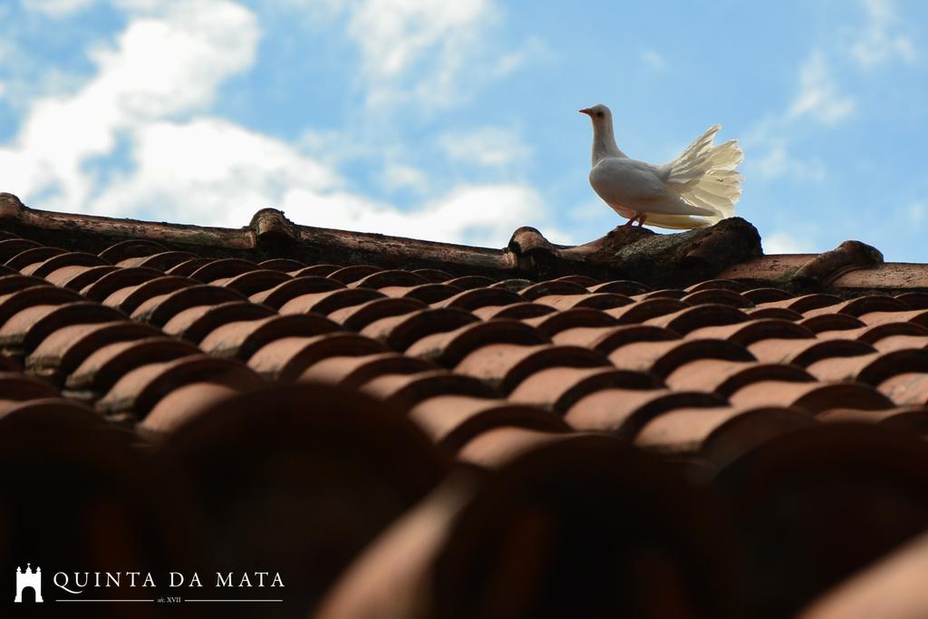 Quinta Da Mata - Turismo De Habitacao Casa di campagna Chaves